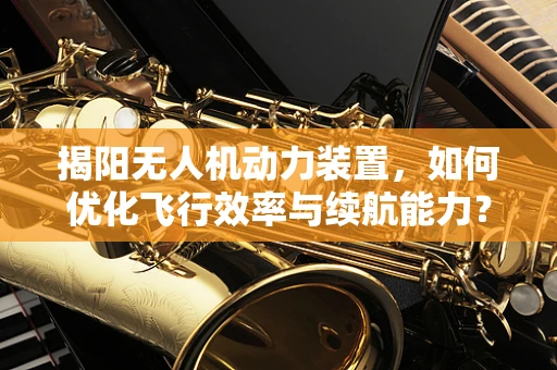 揭阳无人机动力装置，如何优化飞行效率与续航能力？