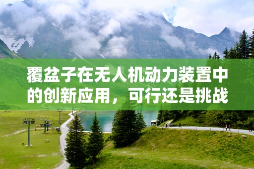 覆盆子在无人机动力装置中的创新应用，可行还是挑战？