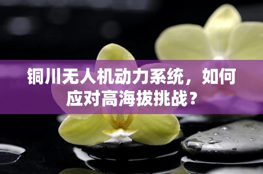 铜川无人机动力系统，如何应对高海拔挑战？