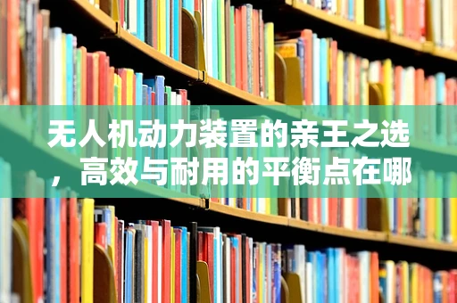 无人机动力装置的亲王之选，高效与耐用的平衡点在哪？