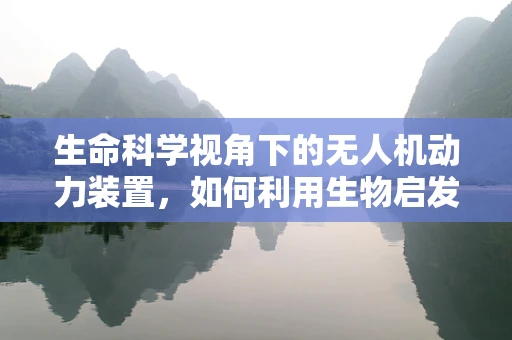 生命科学视角下的无人机动力装置，如何利用生物启发的能源解决方案？