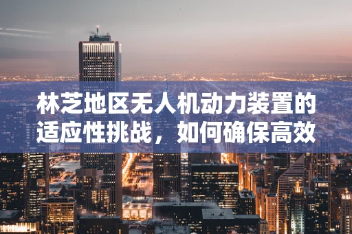 林芝地区无人机动力装置的适应性挑战，如何确保高效飞行？