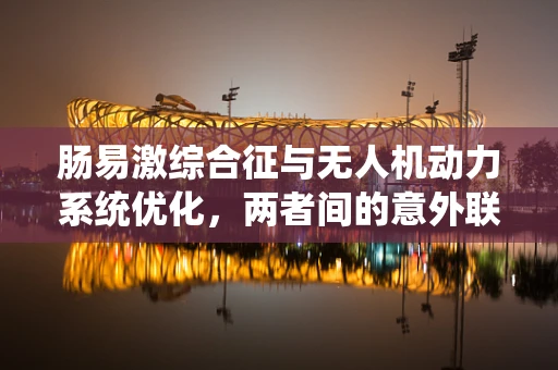 肠易激综合征与无人机动力系统优化，两者间的意外联系？