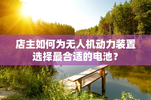 店主如何为无人机动力装置选择最合适的电池？