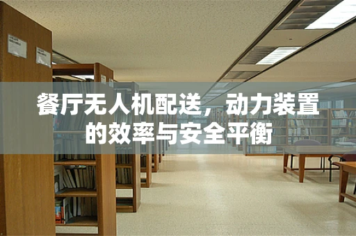 餐厅无人机配送，动力装置的效率与安全平衡