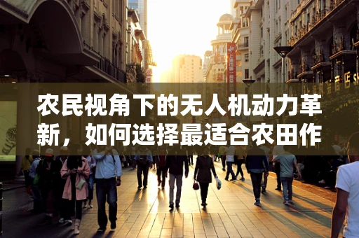 农民视角下的无人机动力革新，如何选择最适合农田作业的飞行器动力装置？