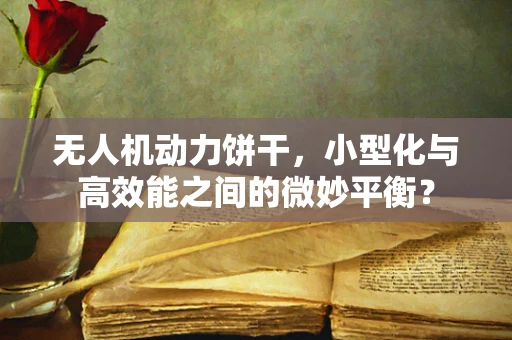 无人机动力饼干，小型化与高效能之间的微妙平衡？