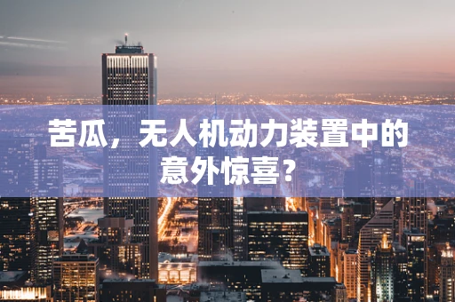 苦瓜，无人机动力装置中的意外惊喜？