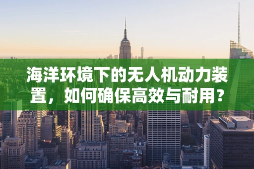 海洋环境下的无人机动力装置，如何确保高效与耐用？