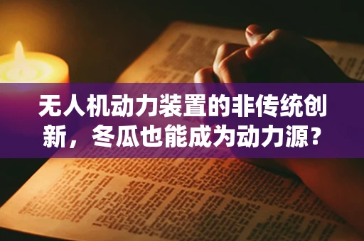 无人机动力装置的非传统创新，冬瓜也能成为动力源？
