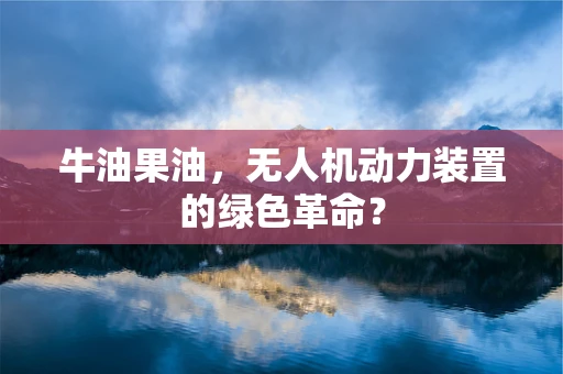 牛油果油，无人机动力装置的绿色革命？