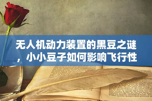 无人机动力装置的黑豆之谜，小小豆子如何影响飞行性能？