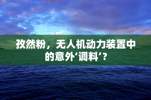 孜然粉，无人机动力装置中的意外‘调料’？