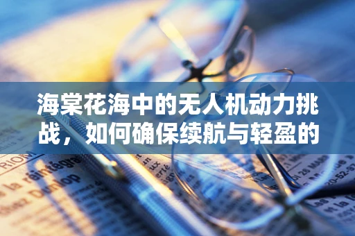 海棠花海中的无人机动力挑战，如何确保续航与轻盈的完美结合？