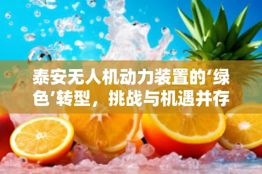 泰安无人机动力装置的‘绿色’转型，挑战与机遇并存的未来之路