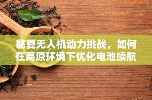临夏无人机动力挑战，如何在高原环境下优化电池续航？