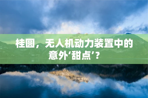 桂圆，无人机动力装置中的意外‘甜点’？