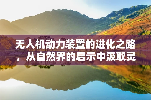 无人机动力装置的进化之路，从自然界的启示中汲取灵感