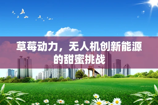 草莓动力，无人机创新能源的甜蜜挑战