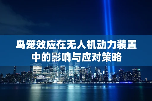 鸟笼效应在无人机动力装置中的影响与应对策略