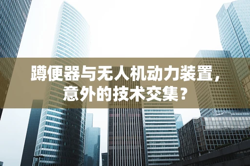 蹲便器与无人机动力装置，意外的技术交集？