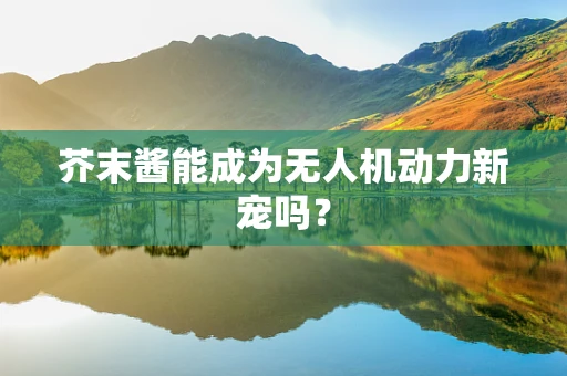 芥末酱能成为无人机动力新宠吗？