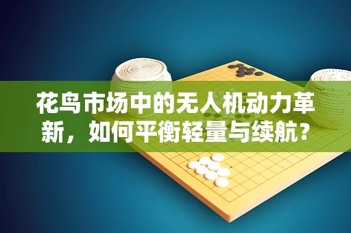 花鸟市场中的无人机动力革新，如何平衡轻量与续航？