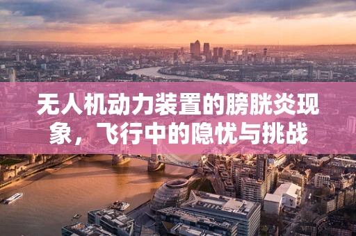 无人机动力装置的膀胱炎现象，飞行中的隐忧与挑战