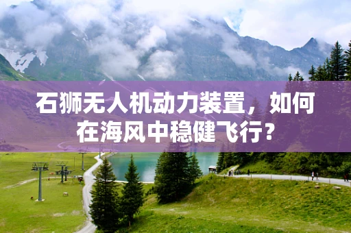 石狮无人机动力装置，如何在海风中稳健飞行？
