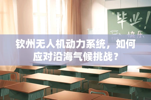 钦州无人机动力系统，如何应对沿海气候挑战？