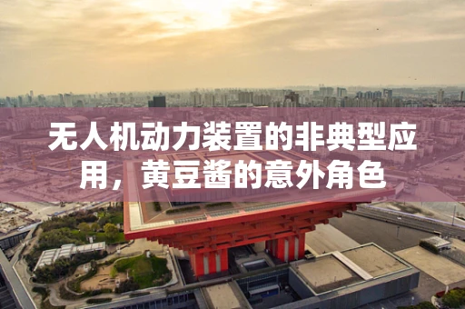 无人机动力装置的非典型应用，黄豆酱的意外角色