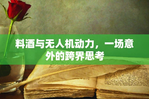 料酒与无人机动力，一场意外的跨界思考