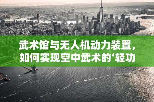 武术馆与无人机动力装置，如何实现空中武术的‘轻功’？