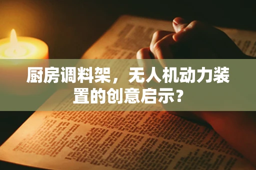 厨房调料架，无人机动力装置的创意启示？