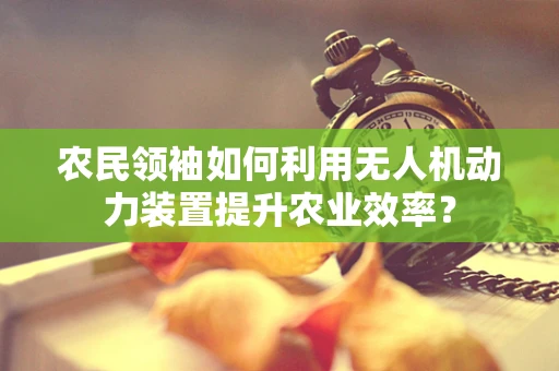 农民领袖如何利用无人机动力装置提升农业效率？