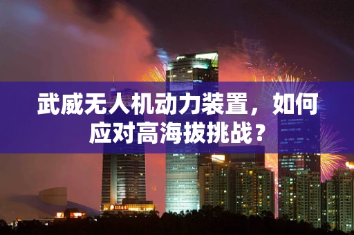 武威无人机动力装置，如何应对高海拔挑战？