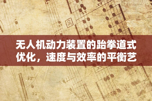 无人机动力装置的跆拳道式优化，速度与效率的平衡艺术