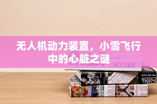 无人机动力装置，小雪飞行中的心脏之谜