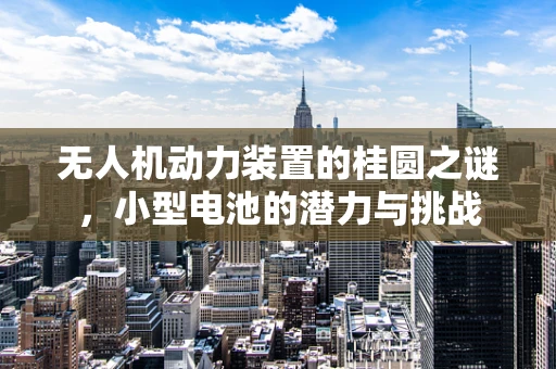无人机动力装置的桂圆之谜，小型电池的潜力与挑战