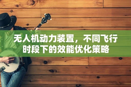 无人机动力装置，不同飞行时段下的效能优化策略