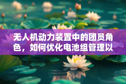 无人机动力装置中的团员角色，如何优化电池组管理以提升飞行效率？