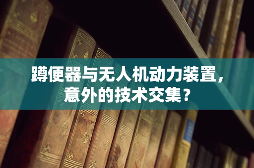 蹲便器与无人机动力装置，意外的技术交集？