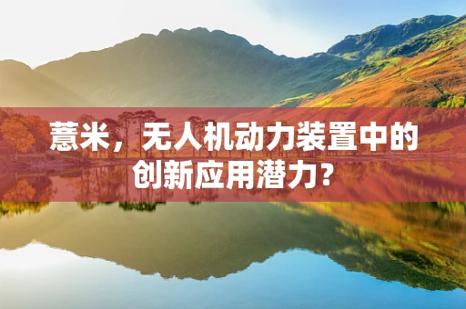薏米，无人机动力装置中的创新应用潜力？