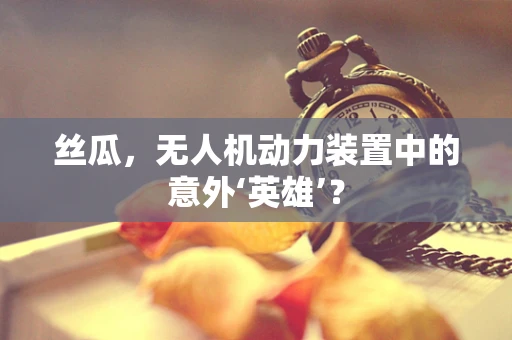 丝瓜，无人机动力装置中的意外‘英雄’？