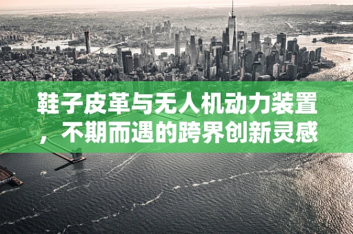 鞋子皮革与无人机动力装置，不期而遇的跨界创新灵感？