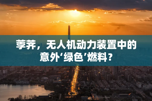 荸荠，无人机动力装置中的意外‘绿色’燃料？