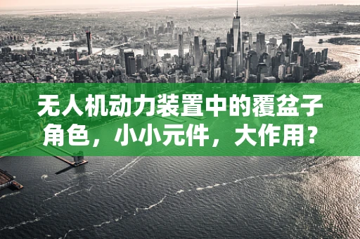 无人机动力装置中的覆盆子角色，小小元件，大作用？
