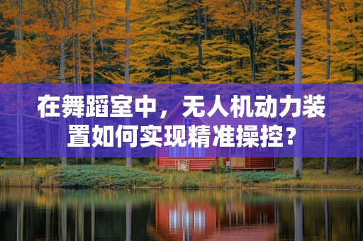 在舞蹈室中，无人机动力装置如何实现精准操控？