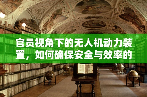 官员视角下的无人机动力装置，如何确保安全与效率的双重保障？