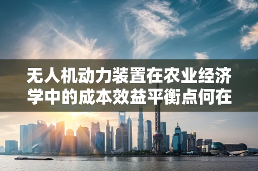 无人机动力装置在农业经济学中的成本效益平衡点何在？